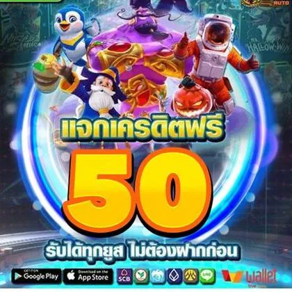 3537 3537