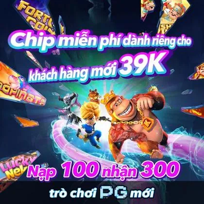 3537 3537