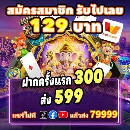 3537 3537